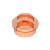 3005747 - Tr-Fl-Redora