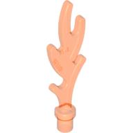 ElementNo 612647 - Tr-Fl-Redora